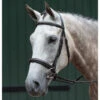 Collegiate Essential Fancy Stitched English Bridle 2 Collegiate Essential Fancy Stitched English Bridle -Ovation Equestrian Supplies Shop 1003408w c1109
