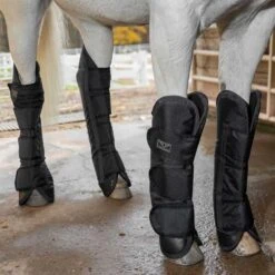 Ovation Equestrian Supplies Shop -Ovation Equestrian Supplies Shop 100811t c1105 alt1