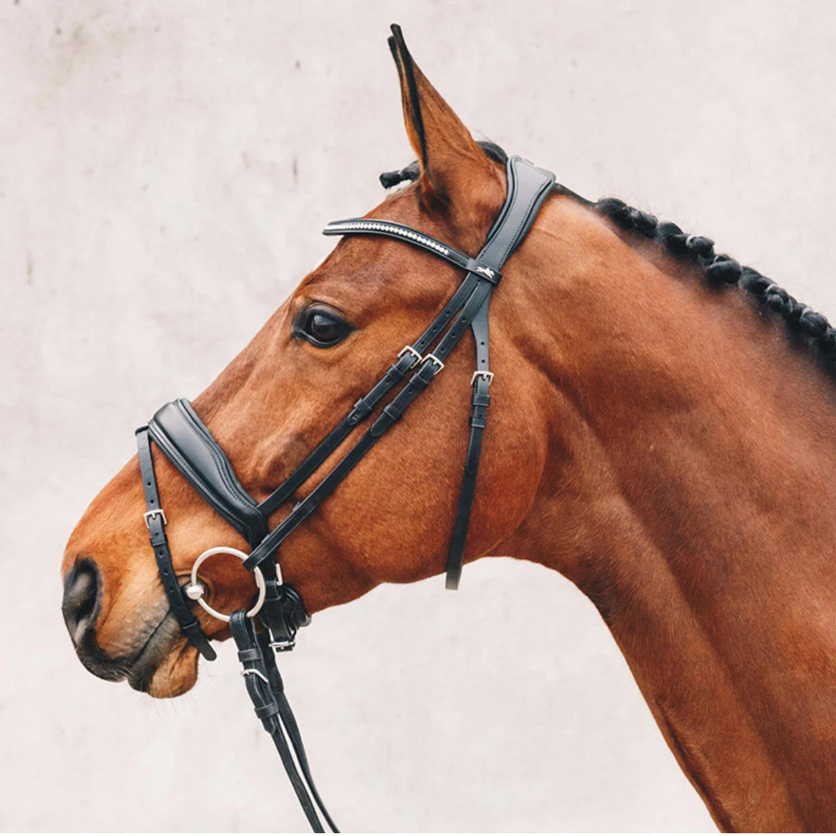 Schockemohle Stanford Anatomic Bridle 3 Schockemohle Stanford Anatomic Bridle