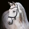 Schockemohle Equitus Alpha Anatomic Bridle 2 Schockemohle Equitus Alpha Anatomic Bridle -Ovation Equestrian Supplies Shop 1101 00044 c1105