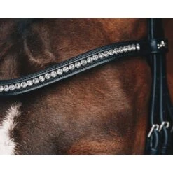 Schockemohle Select And Mix Diamond Browband -Ovation Equestrian Supplies Shop 1102 00079 c1125