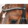 Schockemohle Select And Mix Diamond Browband -Ovation Equestrian Supplies Shop 1102 00079 c1154