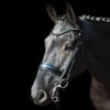 Schockemohle Milan Anatomic Dressage Double Bridle 2 Schockemohle Milan Anatomic Dressage Double Bridle -Ovation Equestrian Supplies Shop 1111 0010 c1105