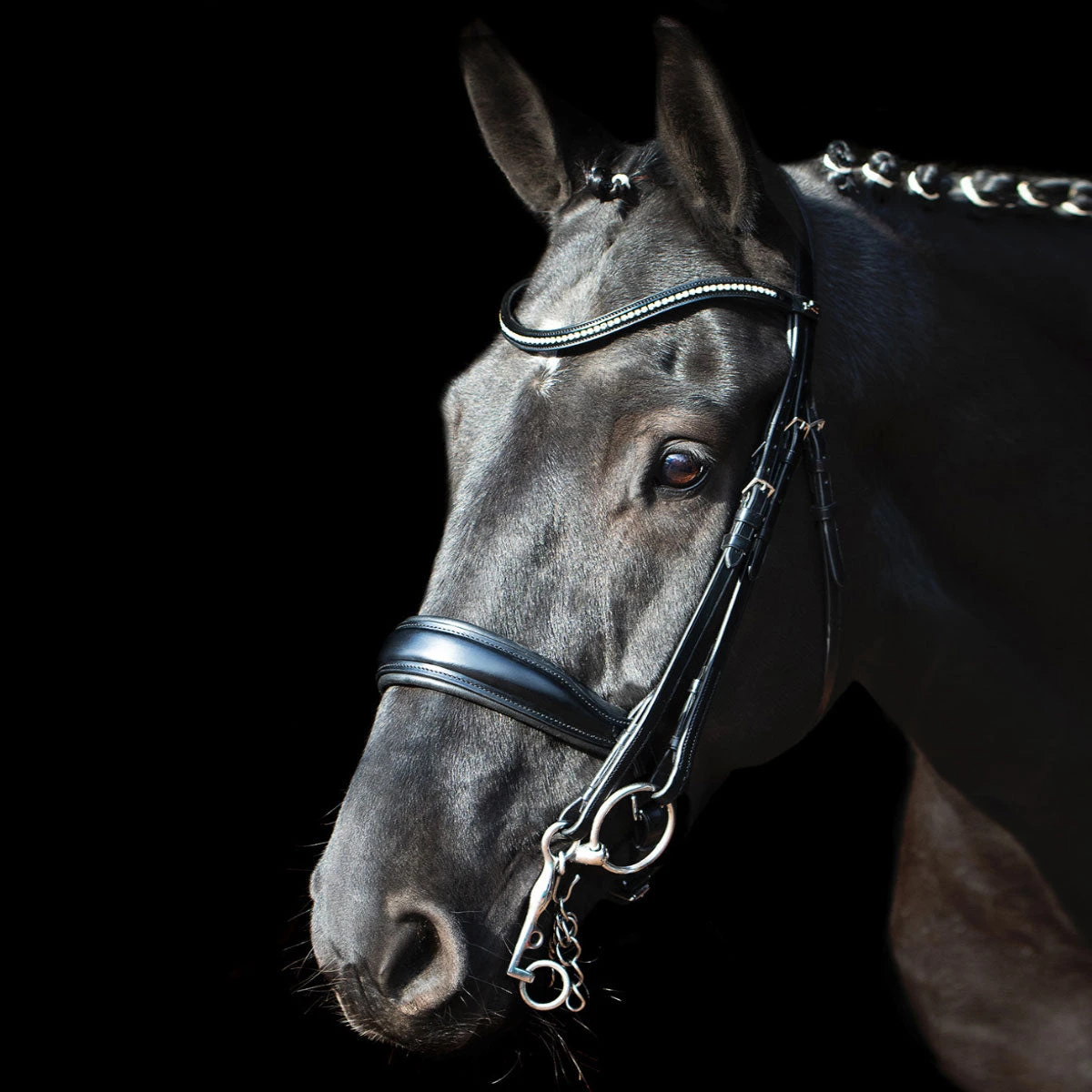 Schockemohle Milan Anatomic Dressage Double Bridle 3 Schockemohle Milan Anatomic Dressage Double Bridle