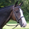 Black Oak Spruce Fancy Stitch Hunter Bridle -Ovation Equestrian Supplies Shop 111401 c1109