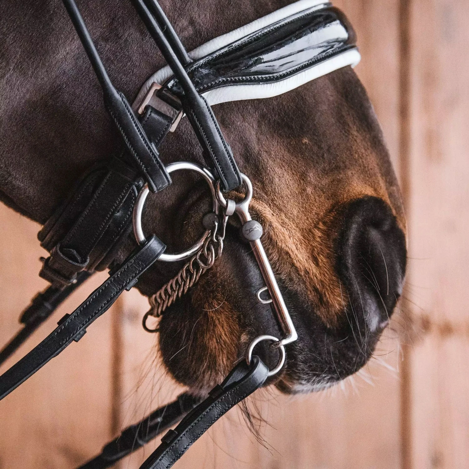 Fager Elisabeth Titanium Weymouth Bit - 70mm Shank - Test Ride Bit 4 Fager Elisabeth Titanium Weymouth Bit - 70mm Shank - Test Ride Bit - Image 2