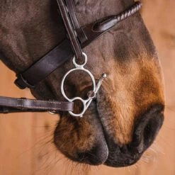 Fager Gustav Sweet Iron Universal Baby Fulmer Bit - Test Ride Bit 11 Fager Gustav Sweet Iron Universal Baby Fulmer Bit - Test Ride Bit -Ovation Equestrian Supplies Shop 22gust u 4