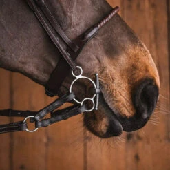 Fager Gustav Sweet Iron Universal Baby Fulmer Bit - Test Ride Bit 10 Fager Gustav Sweet Iron Universal Baby Fulmer Bit - Test Ride Bit -Ovation Equestrian Supplies Shop 22gust u 5