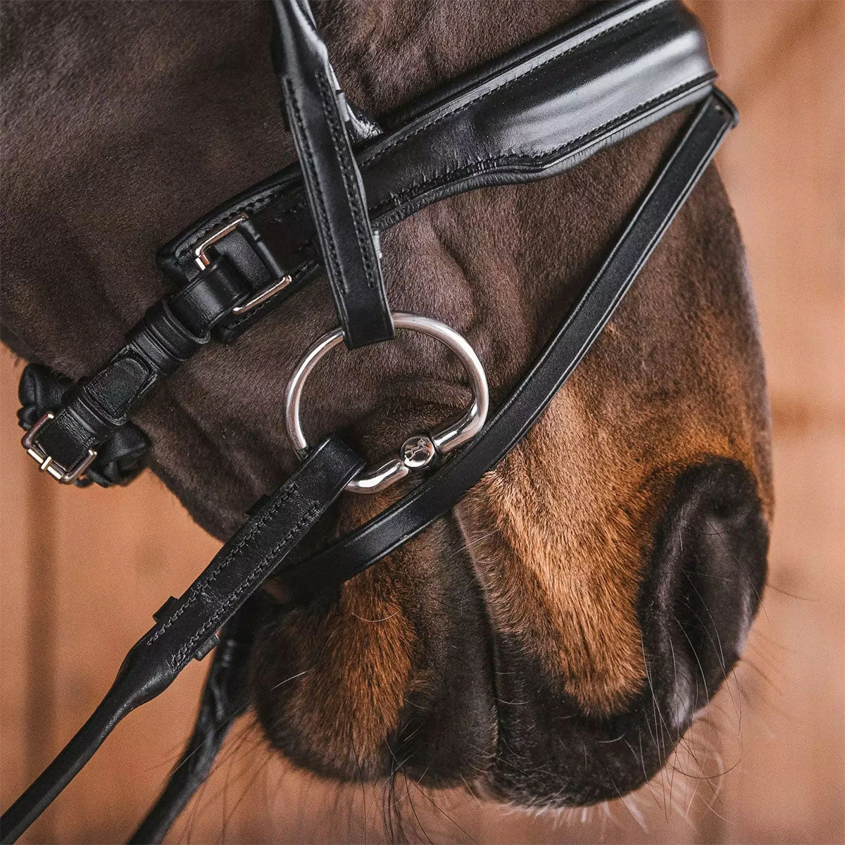 Fager Kasper Sweet Iron Bradoon Fixed Ring - Test Ride Bit 4 Fager Kasper Sweet Iron Bradoon Fixed Ring - Test Ride Bit - Image 2