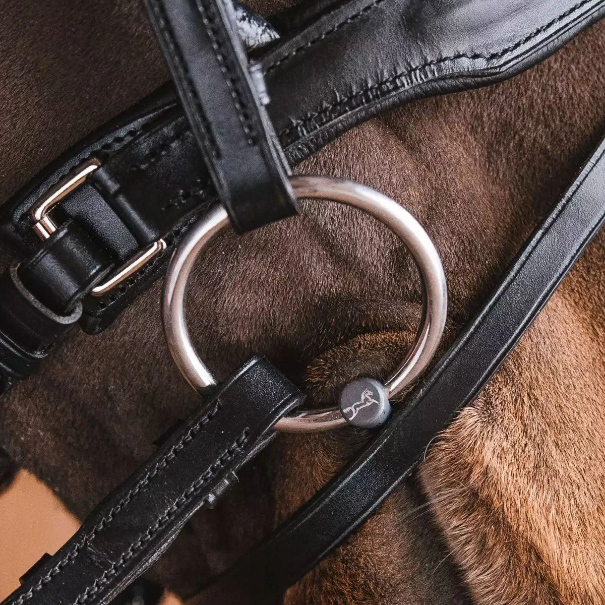 Fager Madeleine Titanium Bradoon Double Jointed Loose Ring Bit - Test Ride Bit 4 Fager Madeleine Titanium Bradoon Double Jointed Loose Ring Bit - Test Ride Bit - Image 2