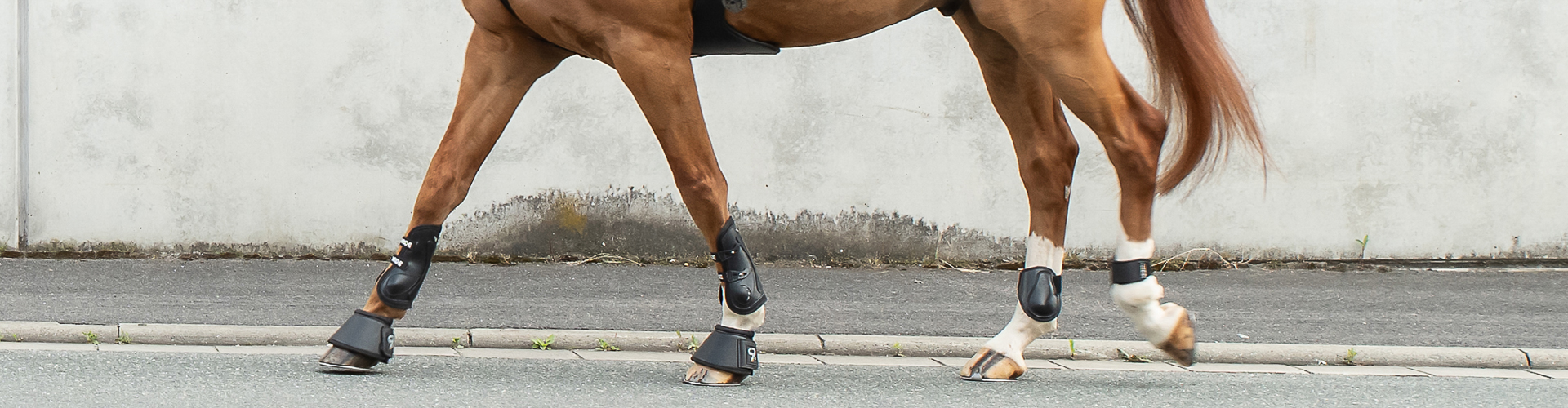 Ovation Equestrian Supplies Shop -Ovation Equestrian Supplies Shop 243 Category