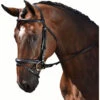 M Toulouse Euro Dressage Bridle 1 M Toulouse Euro Dressage Bridle -Ovation Equestrian Supplies Shop 3014m c1105
