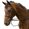 M Toulouse Novice Fancy Stitched Hunter Bridle 2 M Toulouse Novice Fancy Stitched Hunter Bridle -Ovation Equestrian Supplies Shop 3023m c1109