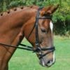 KL Select Red Barn Levade Padded Dressage Bridle 2 KL Select Red Barn Levade Padded Dressage Bridle -Ovation Equestrian Supplies Shop 51020kl c1105
