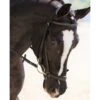 KL Select Drop Noseband -Ovation Equestrian Supplies Shop 5222kl c1105