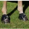 Back On Track Therapeutic Ceramic Performance Bell Boots 2 Back On Track Therapeutic Ceramic Performance Bell Boots -Ovation Equestrian Supplies Shop 5481c c1105