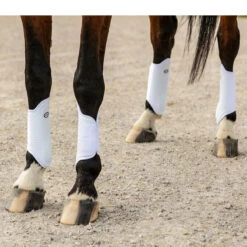 Country Pride Pro Mesh Sport Boots 11 Country Pride Pro Mesh Sport Boots -Ovation Equestrian Supplies Shop 63001 c1172 f16ba8cd 73a9 4136 8672 78659faead10