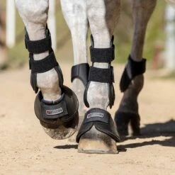 Ovation Equestrian Supplies Shop -Ovation Equestrian Supplies Shop 687cbb c1105