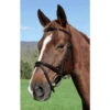 Vespucci Plain Raised English Bridle Brown -Ovation Equestrian Supplies Shop 810455 c1109