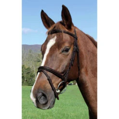 Vespucci Plain Raised English Bridle Brown
