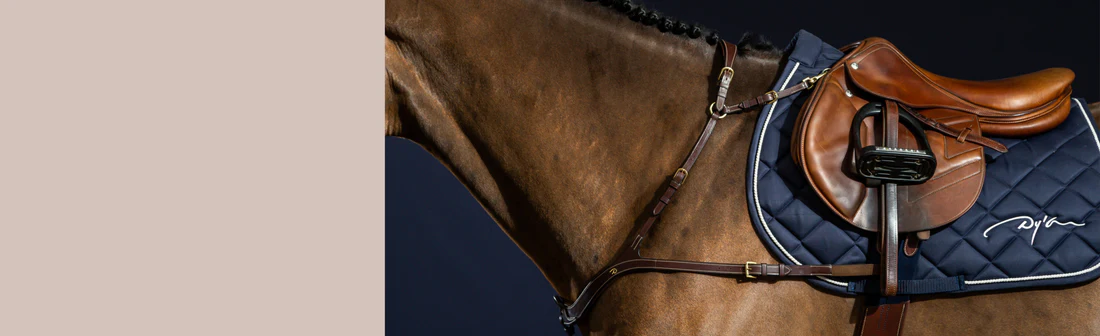 Ovation Equestrian Supplies Shop -Ovation Equestrian Supplies Shop B419 large 3532c29d 0a2c 4323 b951 7a1e89644f99
