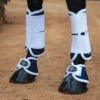 Professionals Choice Magnetic Bell Boots -Ovation Equestrian Supplies Shop PCMBB