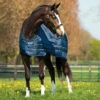 Horseware Ireland Horseware Blanket Liner 200g -Ovation Equestrian Supplies Shop abad61 c1146 fd1ad9a4 b944 4e93 a198 e094886c41e1