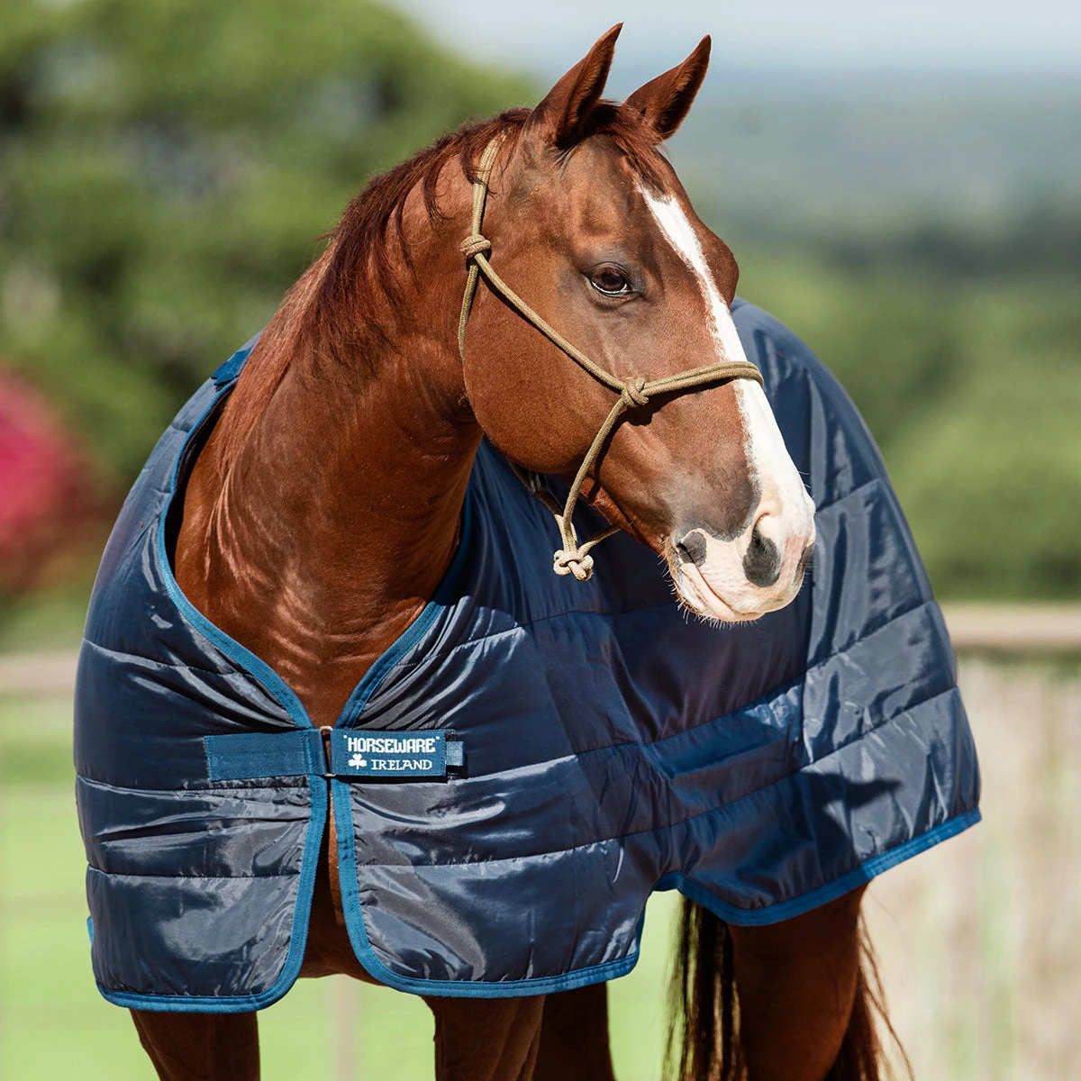 Horseware Ireland Horseware Blanket Liner 200g 6 Horseware Ireland Horseware Blanket Liner 200g - Image 4