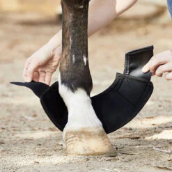 BSB Bell Sport Boots 19 BSB Bell Sport Boots -Ovation Equestrian Supplies Shop bsb c1105 alt1