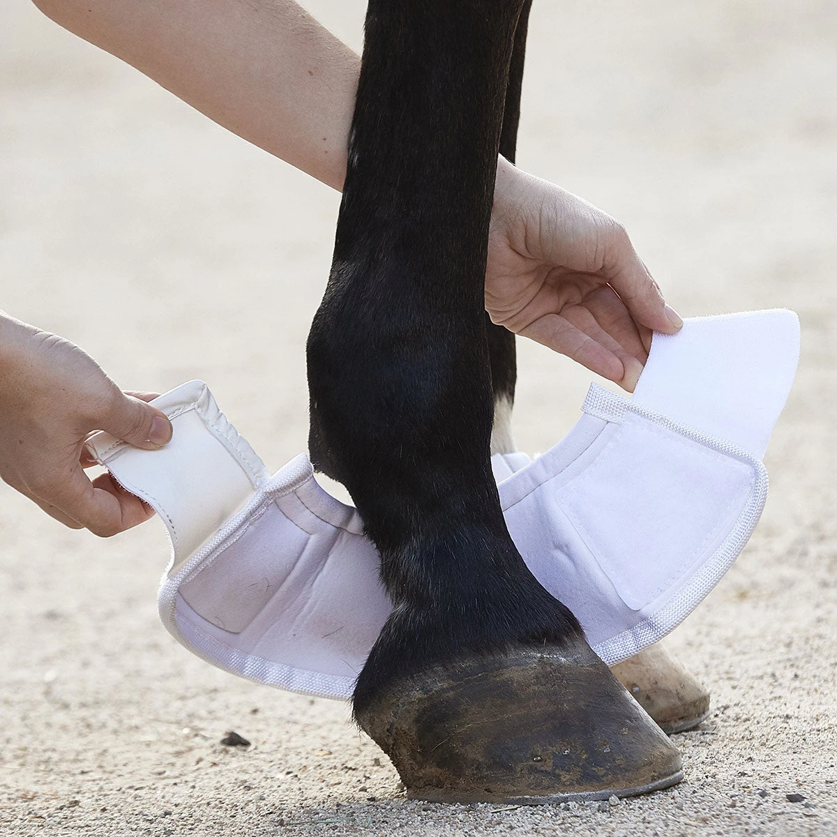 BSB Bell Sport Boots 7 BSB Bell Sport Boots - Image 5