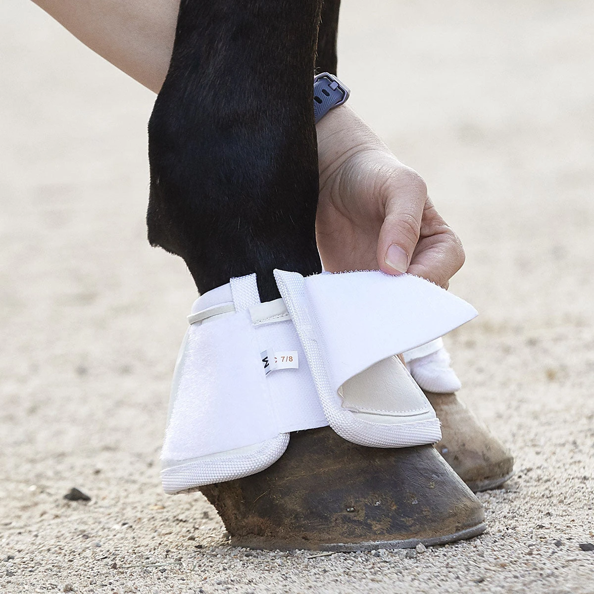 BSB Bell Sport Boots 6 BSB Bell Sport Boots - Image 4