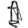 LeMieux Padded Anatomic Work Bridle -Ovation Equestrian Supplies Shop it02638 c1109