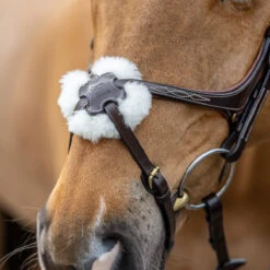 LeMieux Grackle Figure-8 Bridle -Ovation Equestrian Supplies Shop it02644 1109 alt2