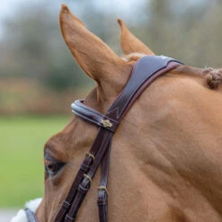 LeMieux Grackle Figure-8 Bridle -Ovation Equestrian Supplies Shop it02644 1109 alt3