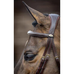 LeMieux Competition Flash Bridle -Ovation Equestrian Supplies Shop it02645 c1109 alt3