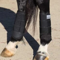 Ovation Equestrian Supplies Shop -Ovation Equestrian Supplies Shop pmxcr c1105