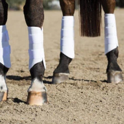 Professionals Choice Pro Performance Elite XC Boots Hind -Ovation Equestrian Supplies Shop pmxcr c1172