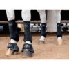 Professionals Choice 2XCool Sports Medicine Boots 4-Pack -Ovation Equestrian Supplies Shop xc4 c1105